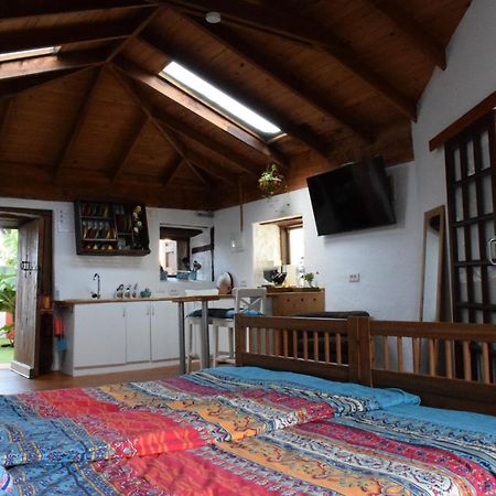 איקוד דה לוס וינוס Finca Casa Madera 1 מראה חיצוני תמונה