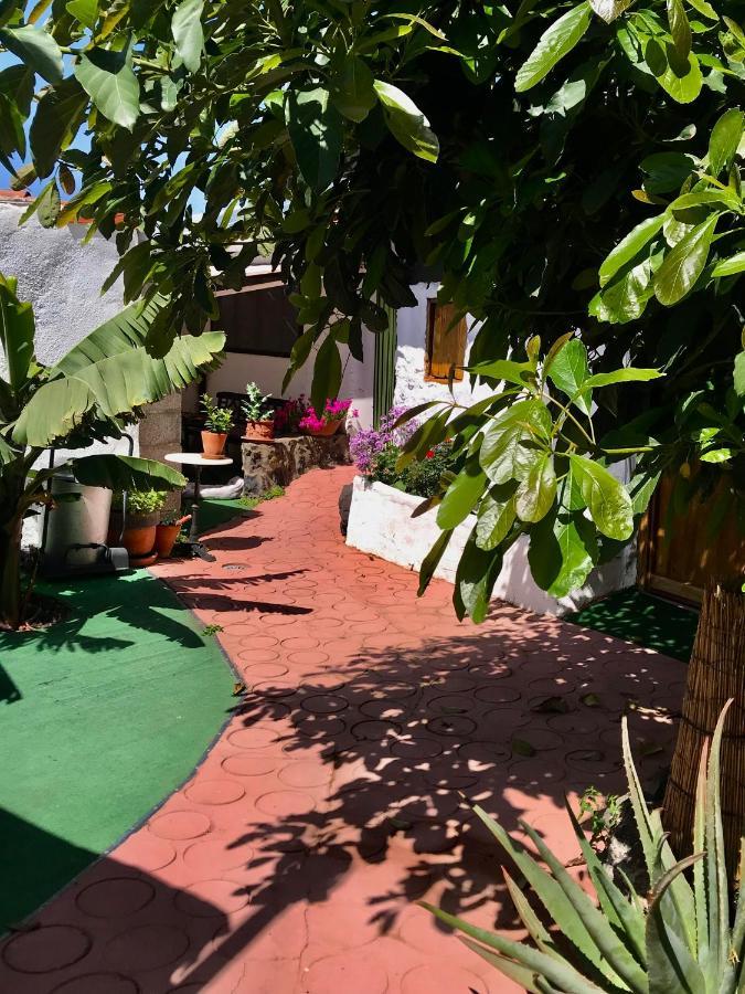 איקוד דה לוס וינוס Finca Casa Madera 1 מראה חיצוני תמונה