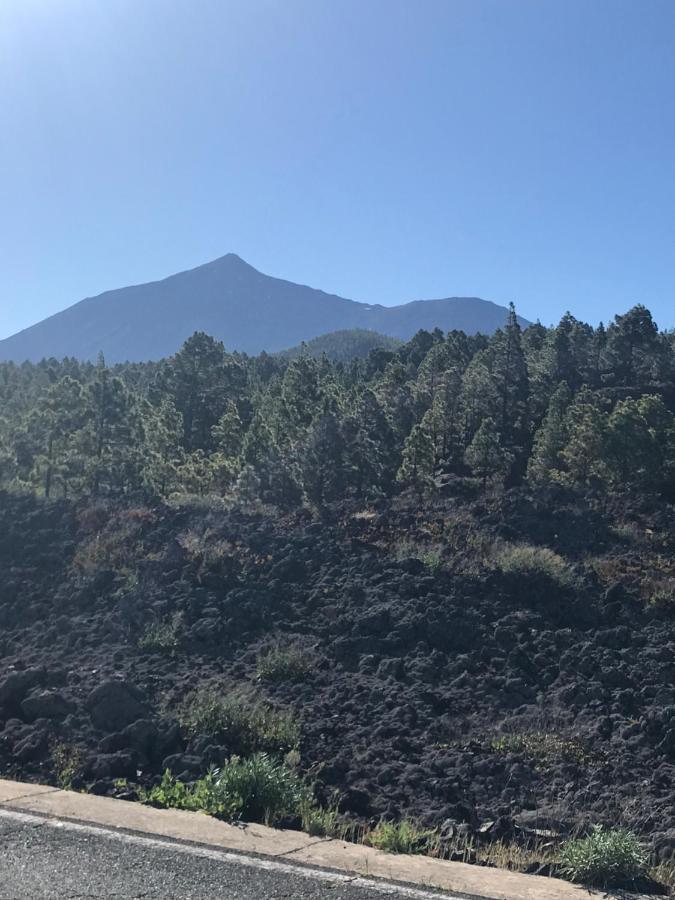איקוד דה לוס וינוס Finca Casa Madera 1 מראה חיצוני תמונה